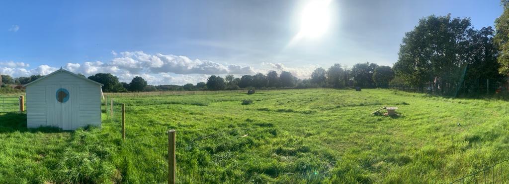 Bowdon Dog Park