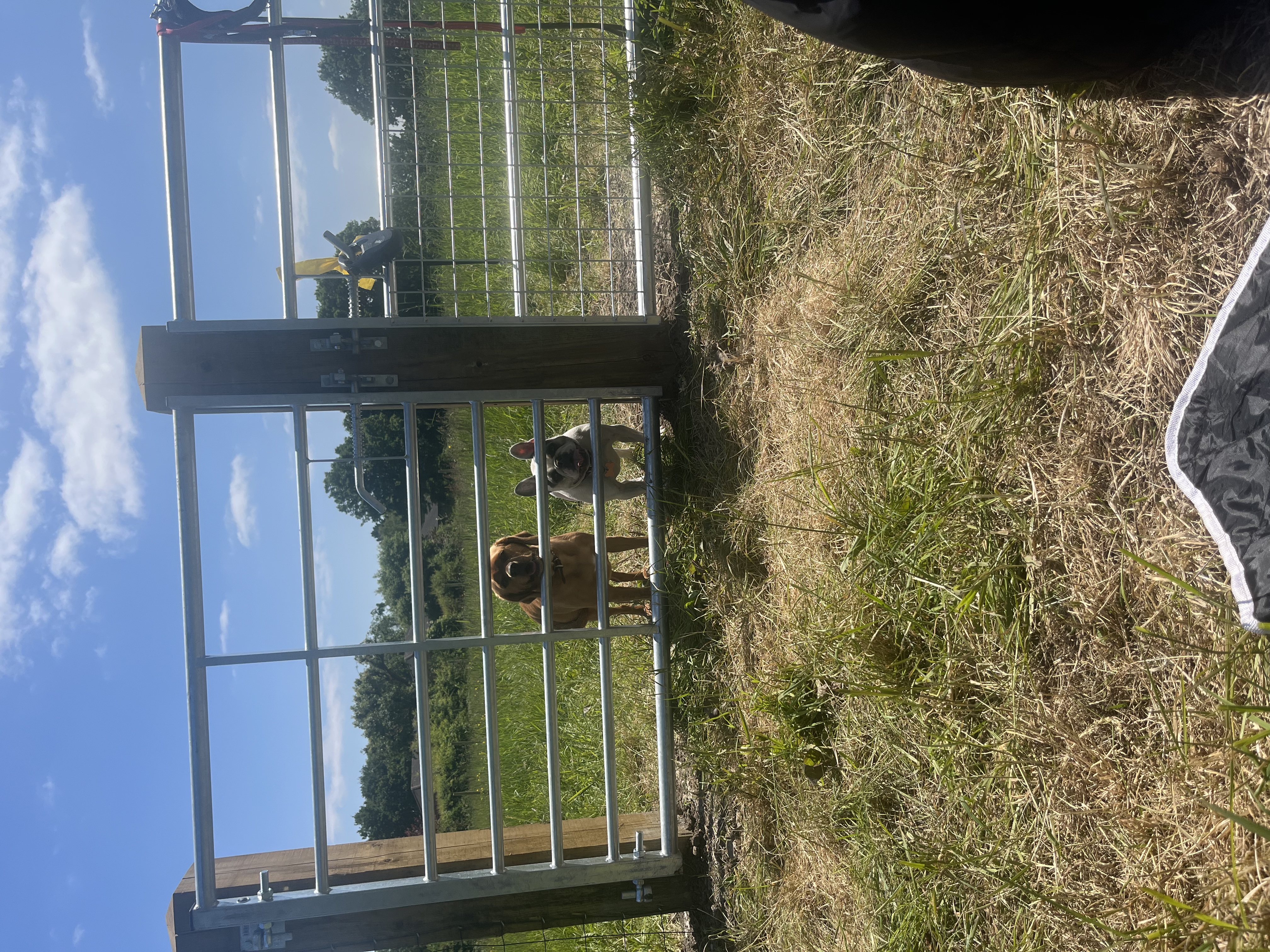 Bowdon Dog Park