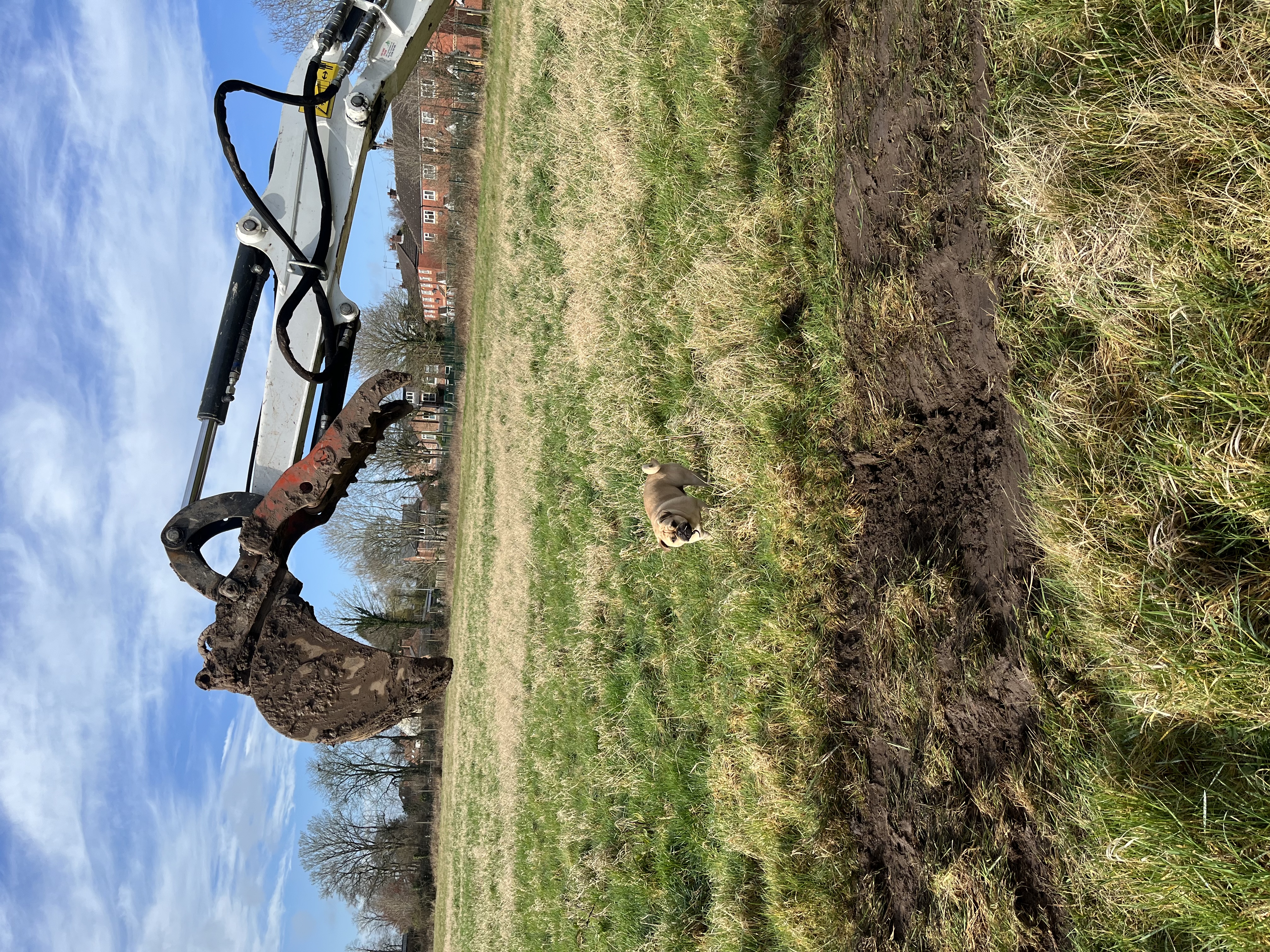Bowdon Dog Park