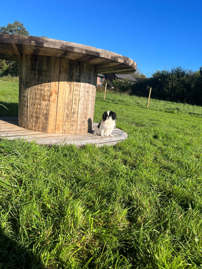 Bowdon Dog Park