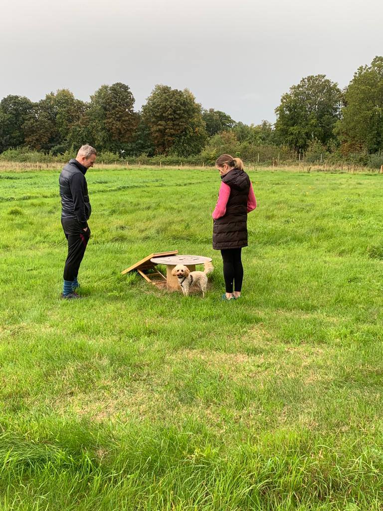 Bowdon Dog Park