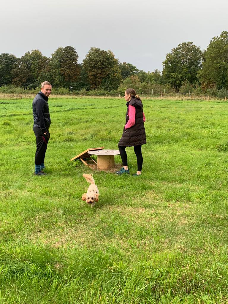 Bowdon Dog Park