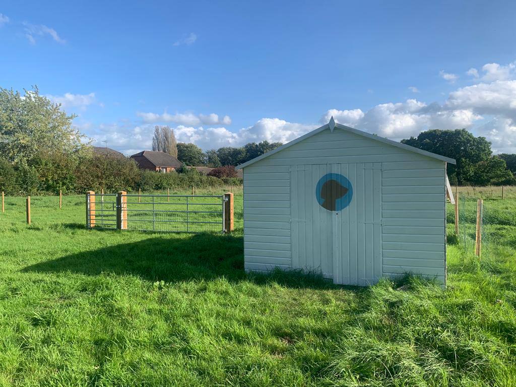 Bowdon Dog Park
